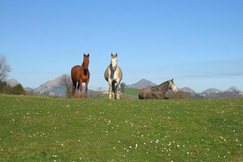 Casa Rural La Santa Sorribas  Bagian luar foto